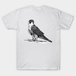 Peregrine Falcon in Nankin ink T-Shirt